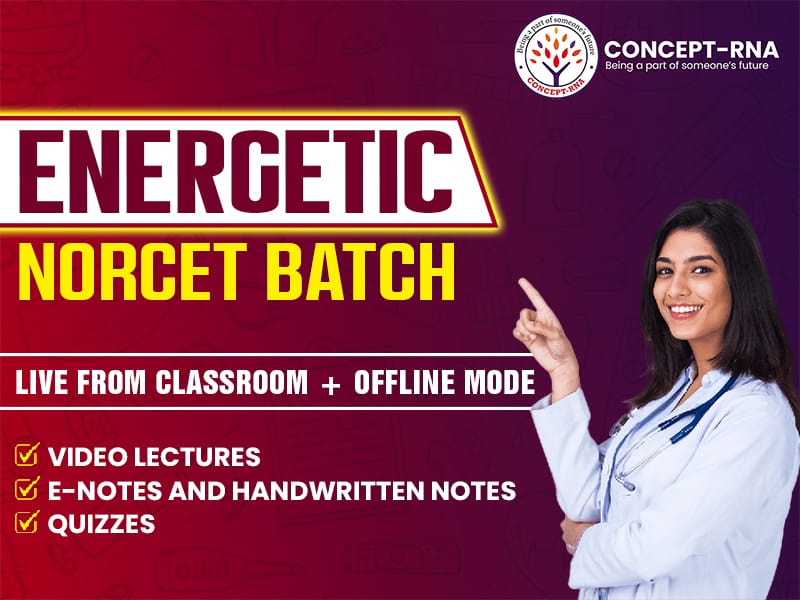 Energetic NORCET Batch