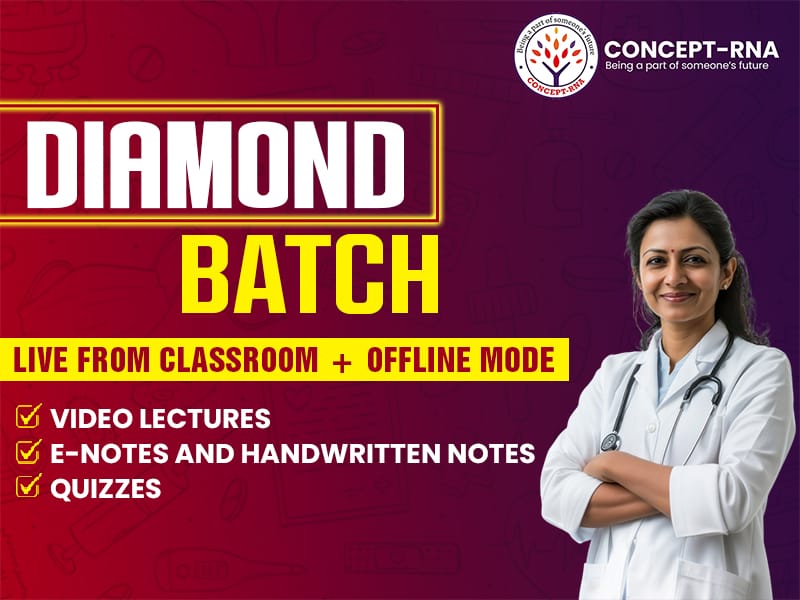 Diamond Batch Recorded from Classroom 2025