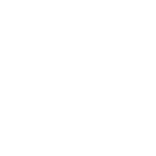 Courses Offered+
